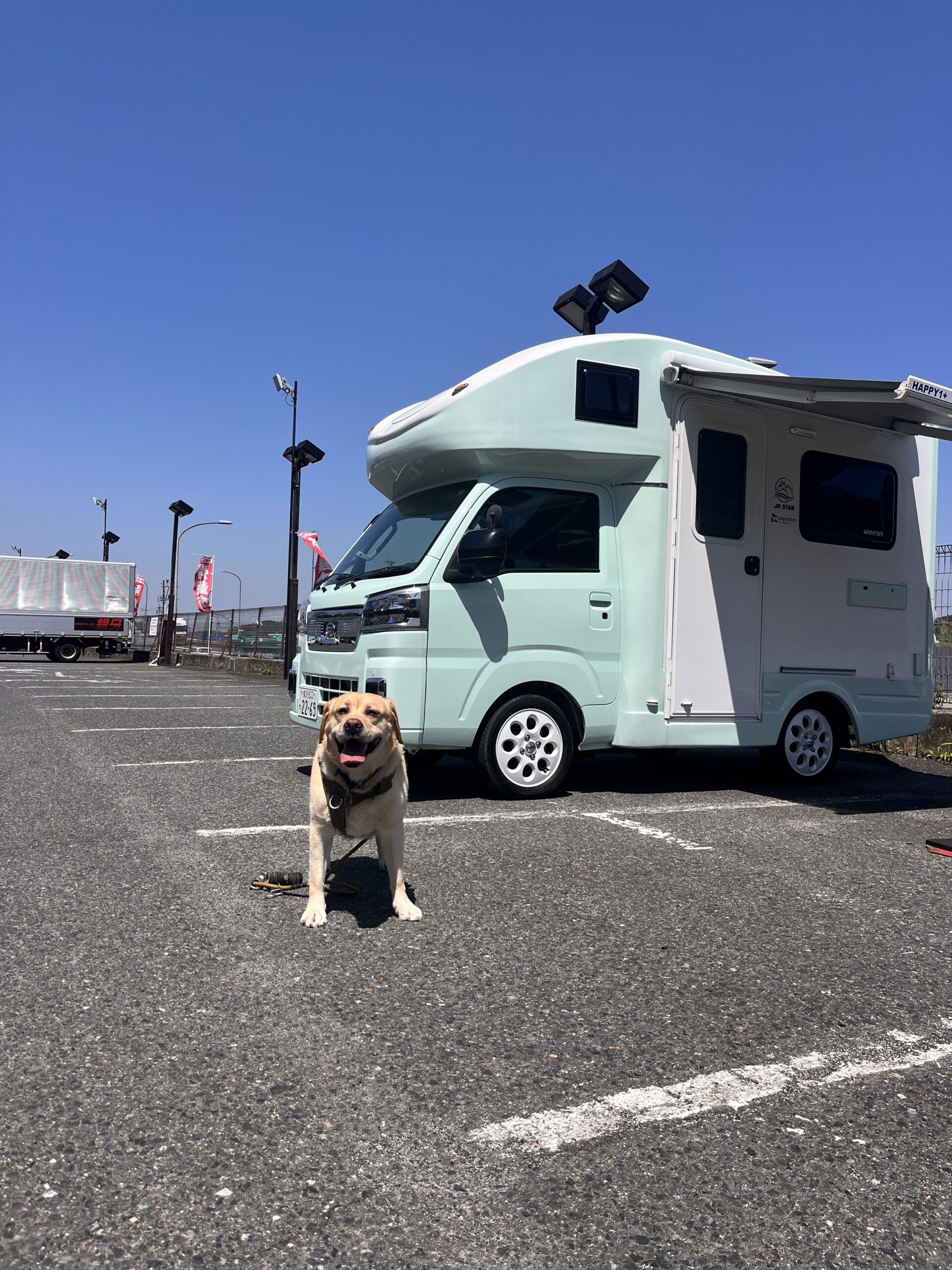 レンタルされたお客様よりご感想をいただきました🚛🐶